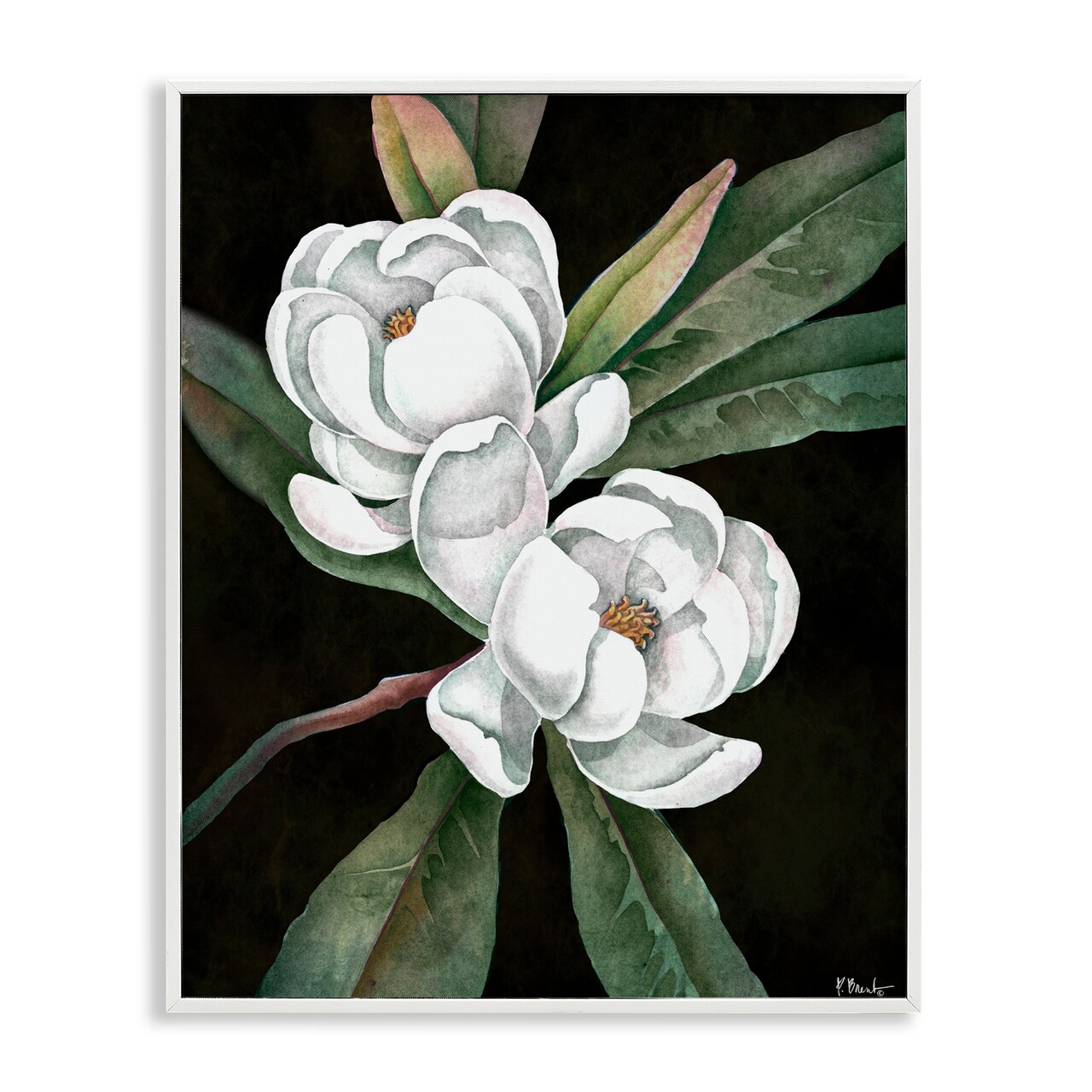 Stupell Industries Vintage Bay Magnolia Framed Giclee, design by Paul Brent